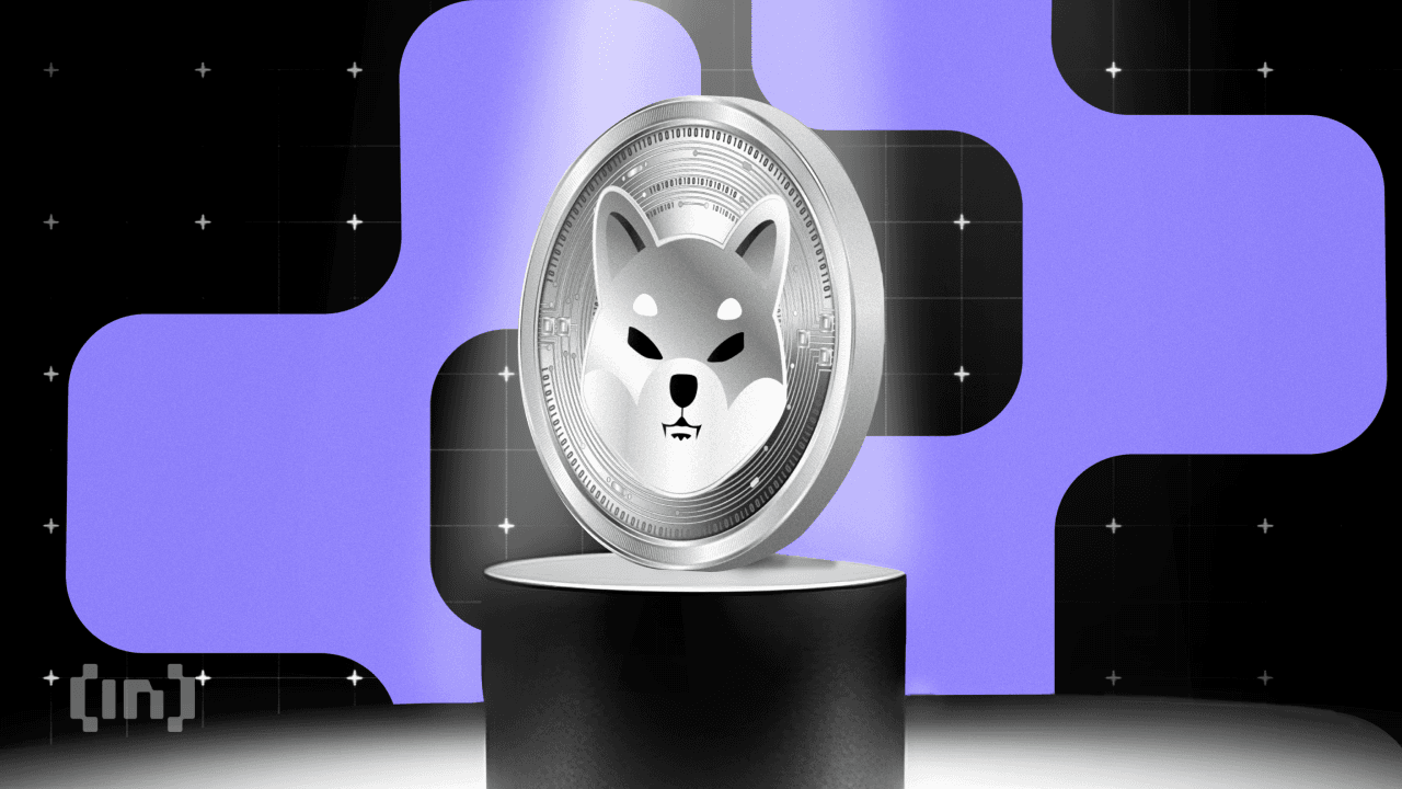 Il caso rialzista e ribassista per il prezzo di Shiba Inu (SHIB)