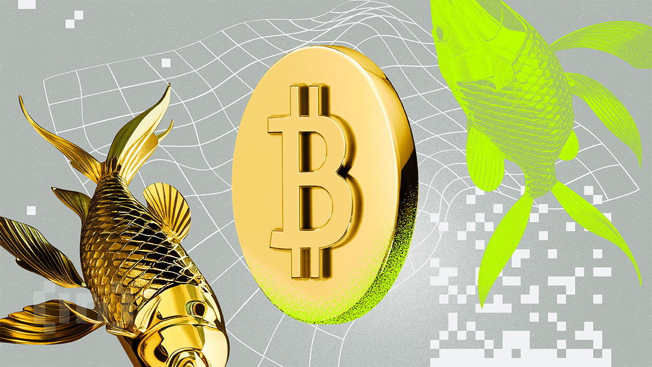Bitcoin seguirà il rally dell&#8217;oro con un ritardo di 100 giorni in mezzo al boom di liquidità, dice l&#8217;analista