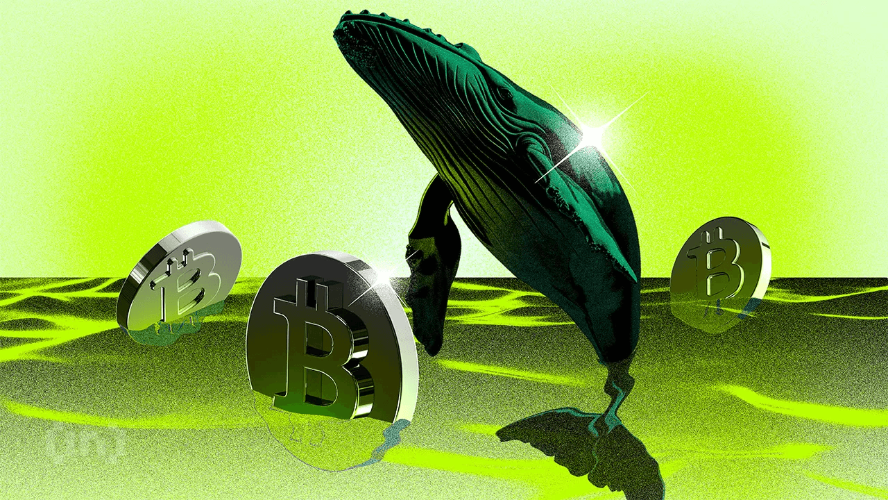 Le balene di Bitcoin stanno potenzialmente guidando un&#8217;altseason | Osservatorio settimanale delle balene