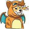 Charizard Inu