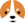 Welshcorgicoin