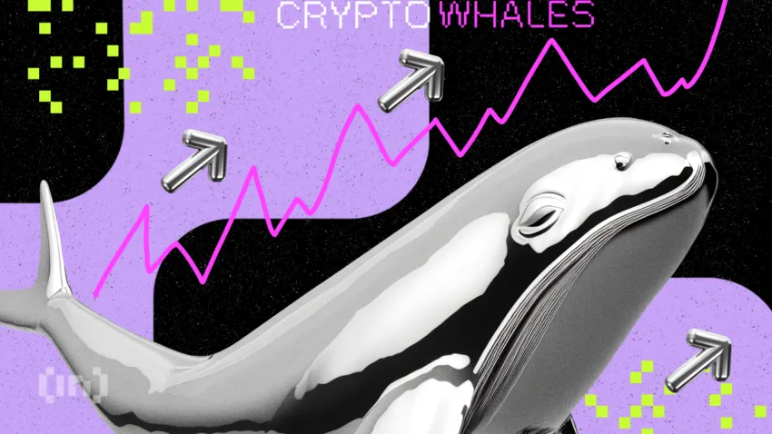 Cosa comprano le whale delle criptovalute per potenziali guadagni nel settembre 2024
