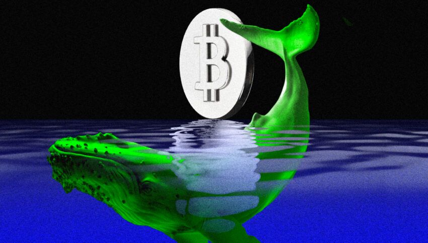 Le balene scateneranno il rally del prezzo del Bitcoin (BTC) in vista della riunione della Fed?