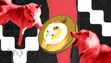 I 10 migliori account casinò Dogecoin da seguire su Twitter