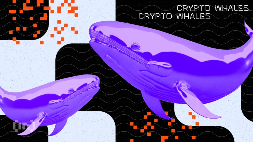 Un whale delle criptovalute scarica 46 milioni di dollari in Ethereum mentre il mercato guarda alla decisione sugli ETF