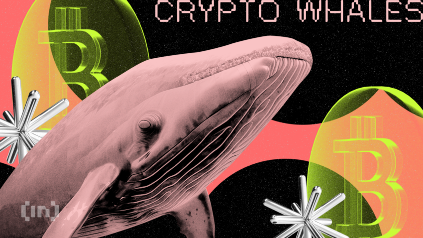 Gli investitori al dettaglio comprano il calo del prezzo mentre Crypto Whale vende oltre 400 milioni di dollari in Bitcoin (BTC)