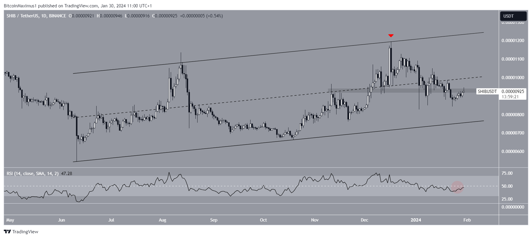 Shiba Inu (SHIB) Price Movement