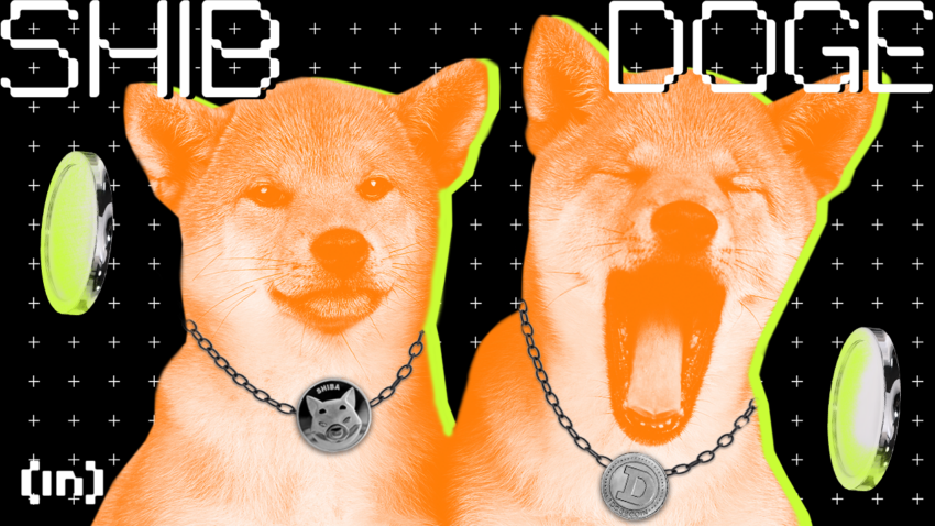 Dogecoin (DOGE) vs Shiba Inu (SHIB): Qual è la differenza?