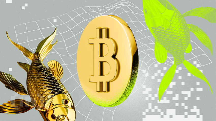 Perché questo scienziato informatico pensa che il Bitcoin sia la più grande invenzione dopo la moneta