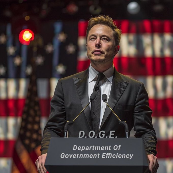 Post di Elon Musk su DOGE, fonte: X