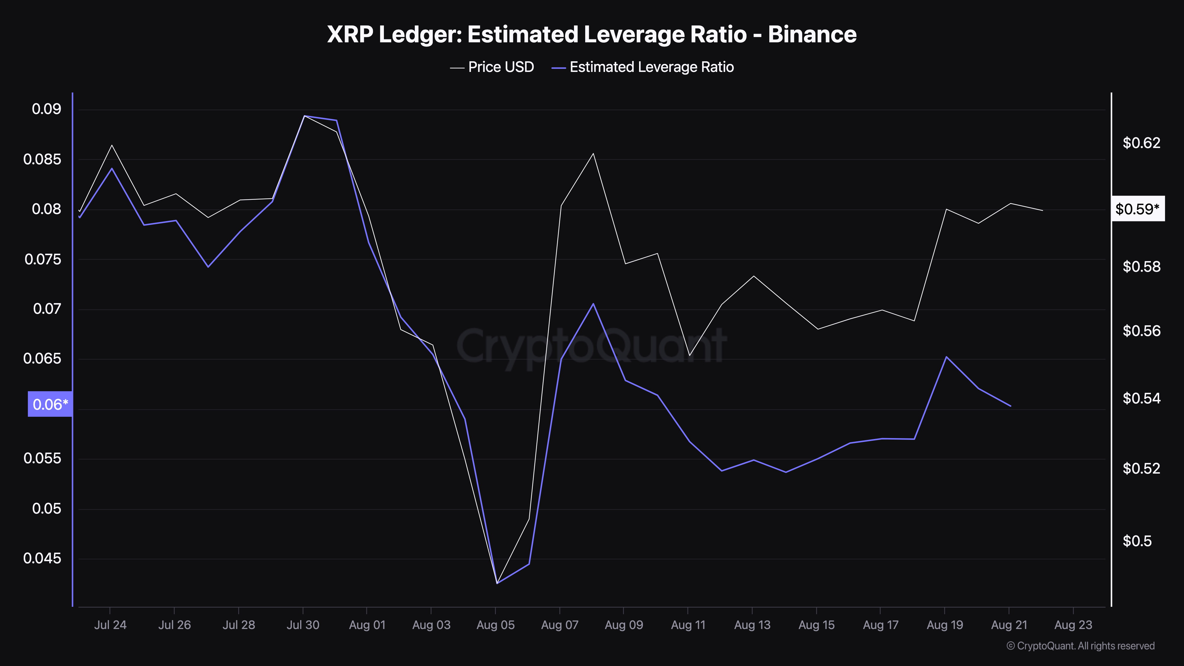 Rapporto di leva stimato di XRP.