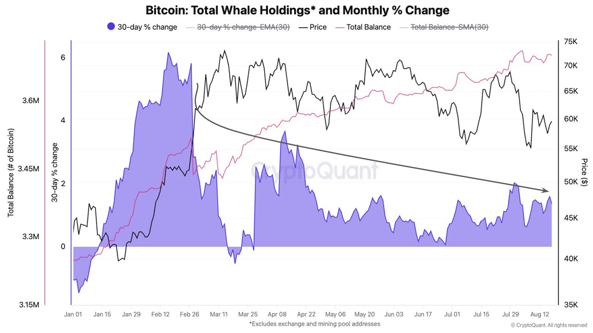 Le partecipazioni delle whale di Bitcoin.