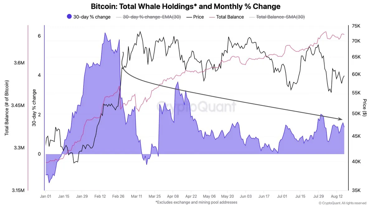 Le partecipazioni delle whale di Bitcoin.