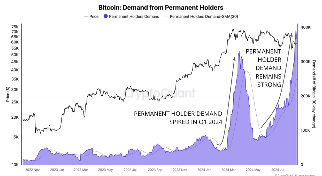 Domanda dei detentori permanenti di Bitcoin.