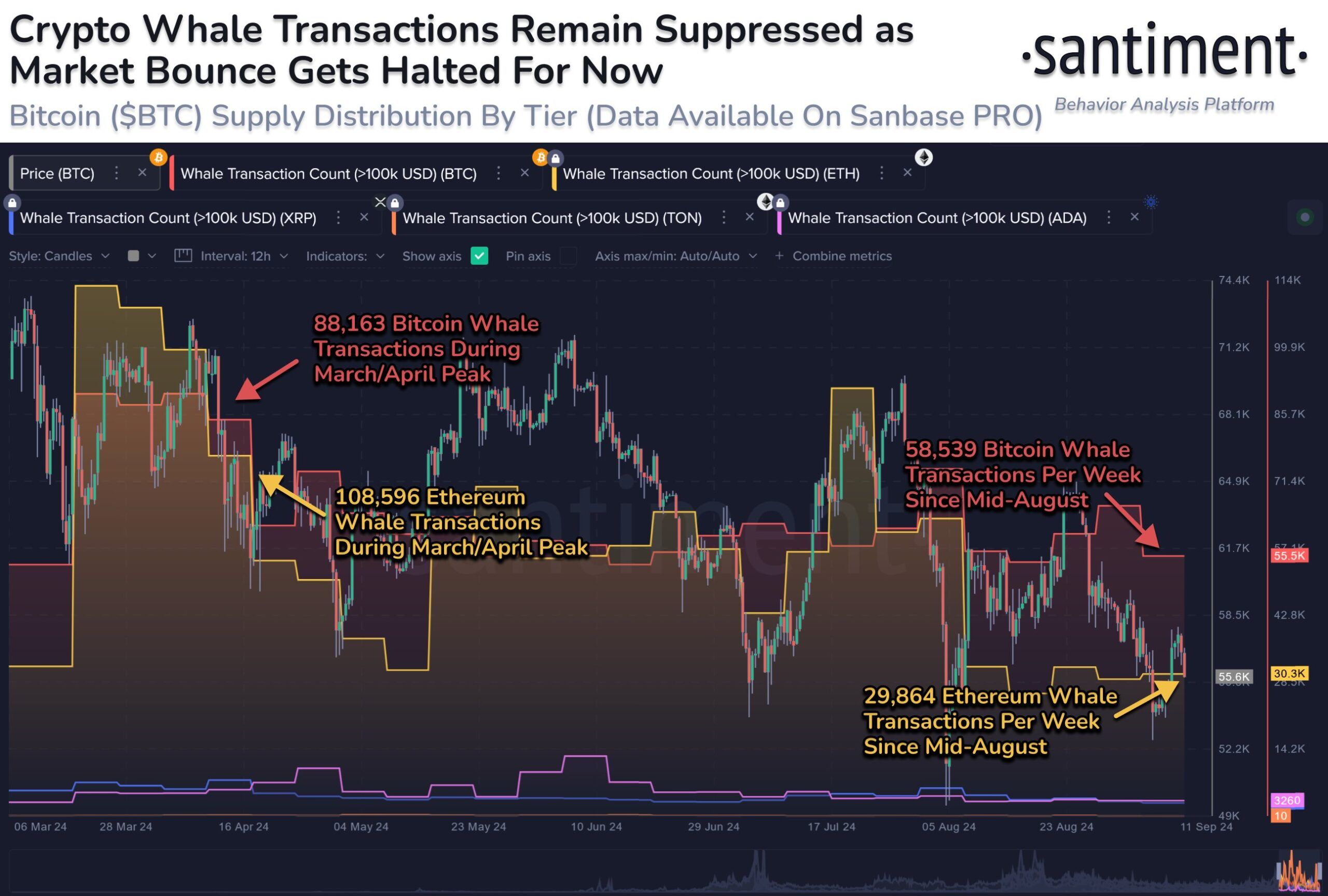 transazioni delle balene cripto
