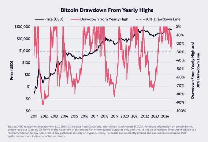 Calo storico del prezzo di Bitcoin