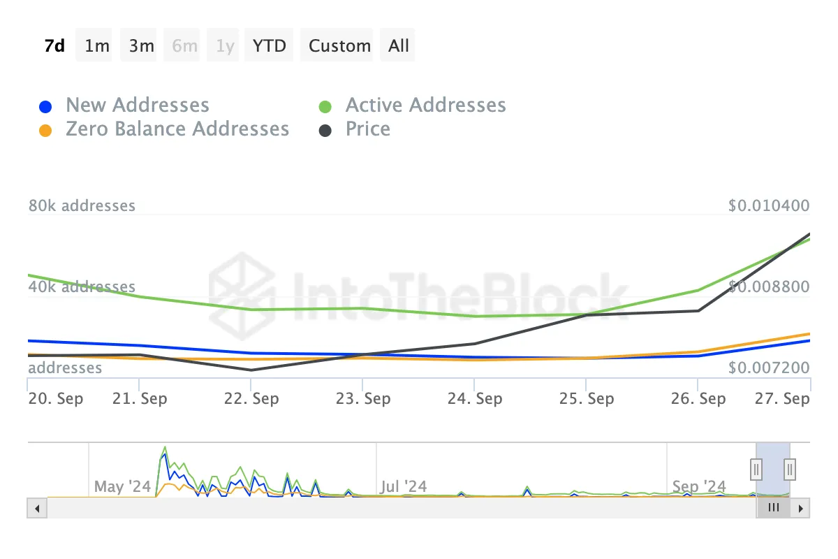 Attività della rete Notcoin. Fonte: IntoTheBlock