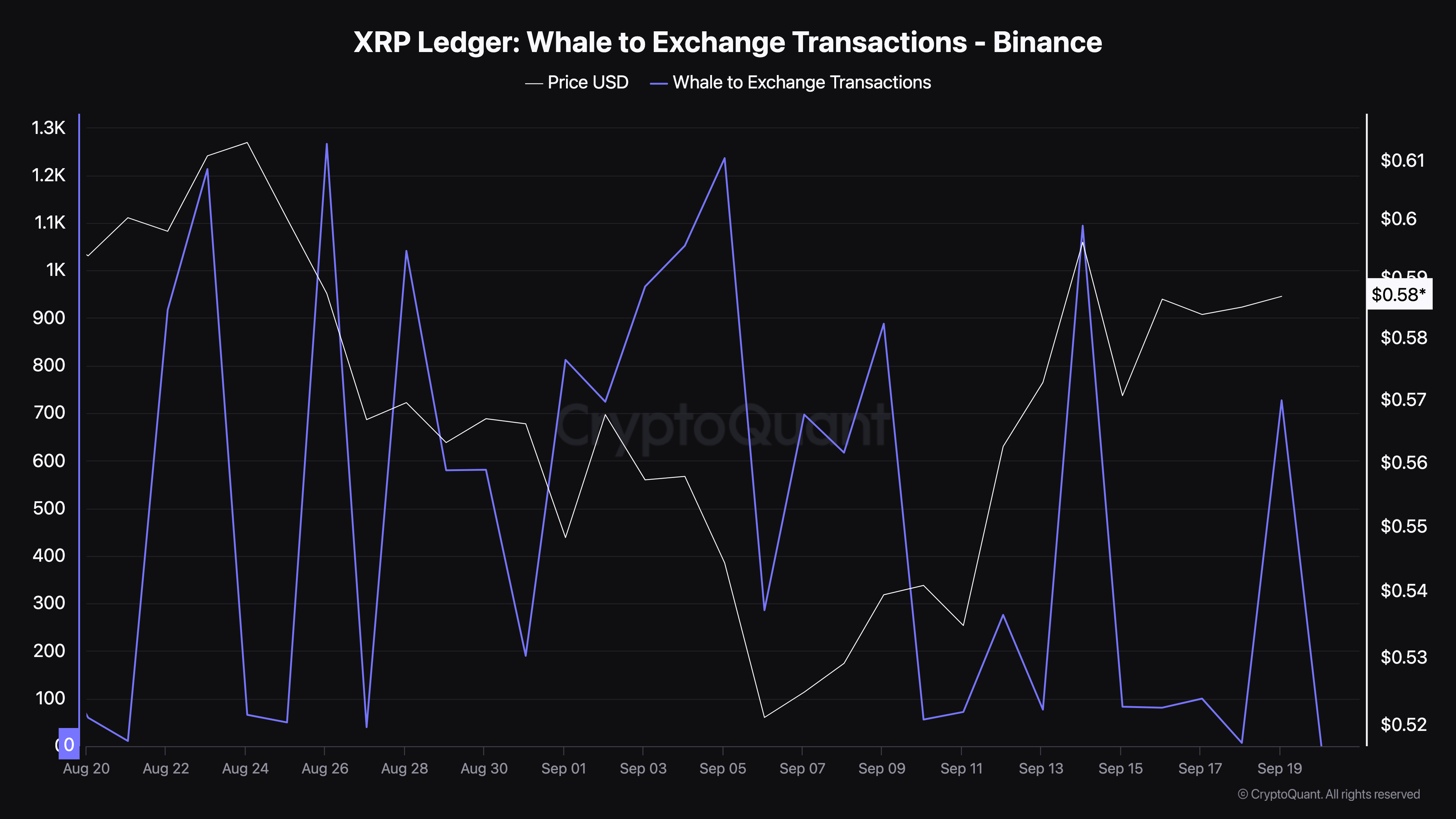 Transazioni da Whale a Exchange di Ripple XRP.