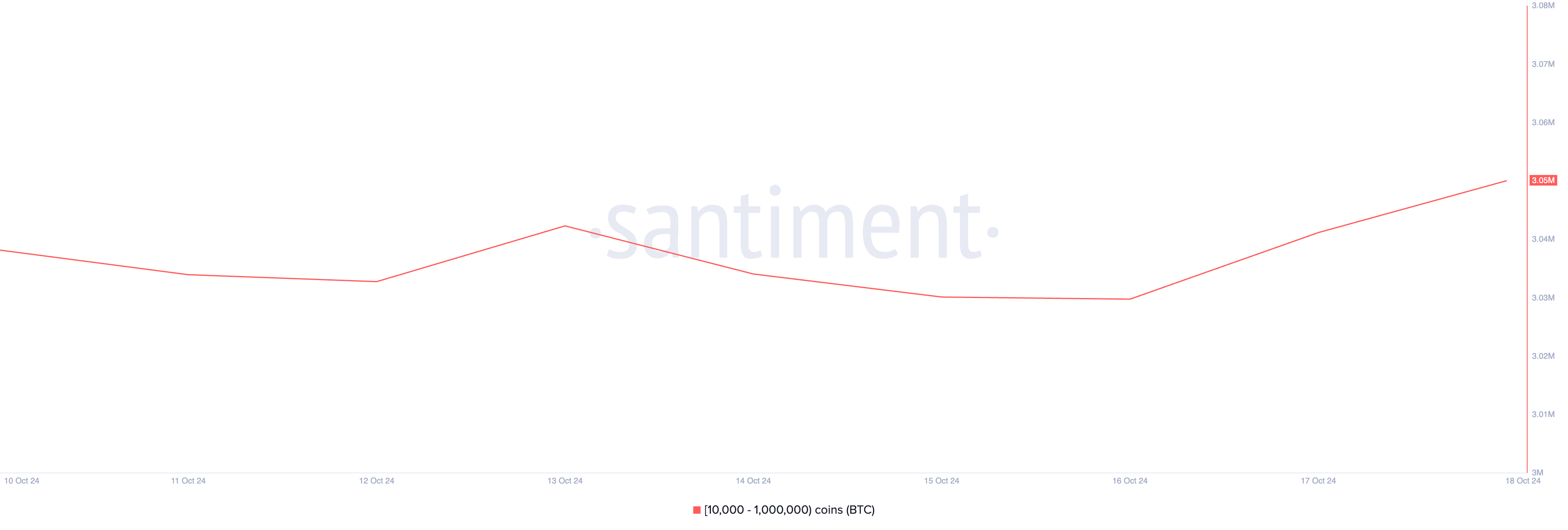 Bilancio delle Whales di Bitcoin.