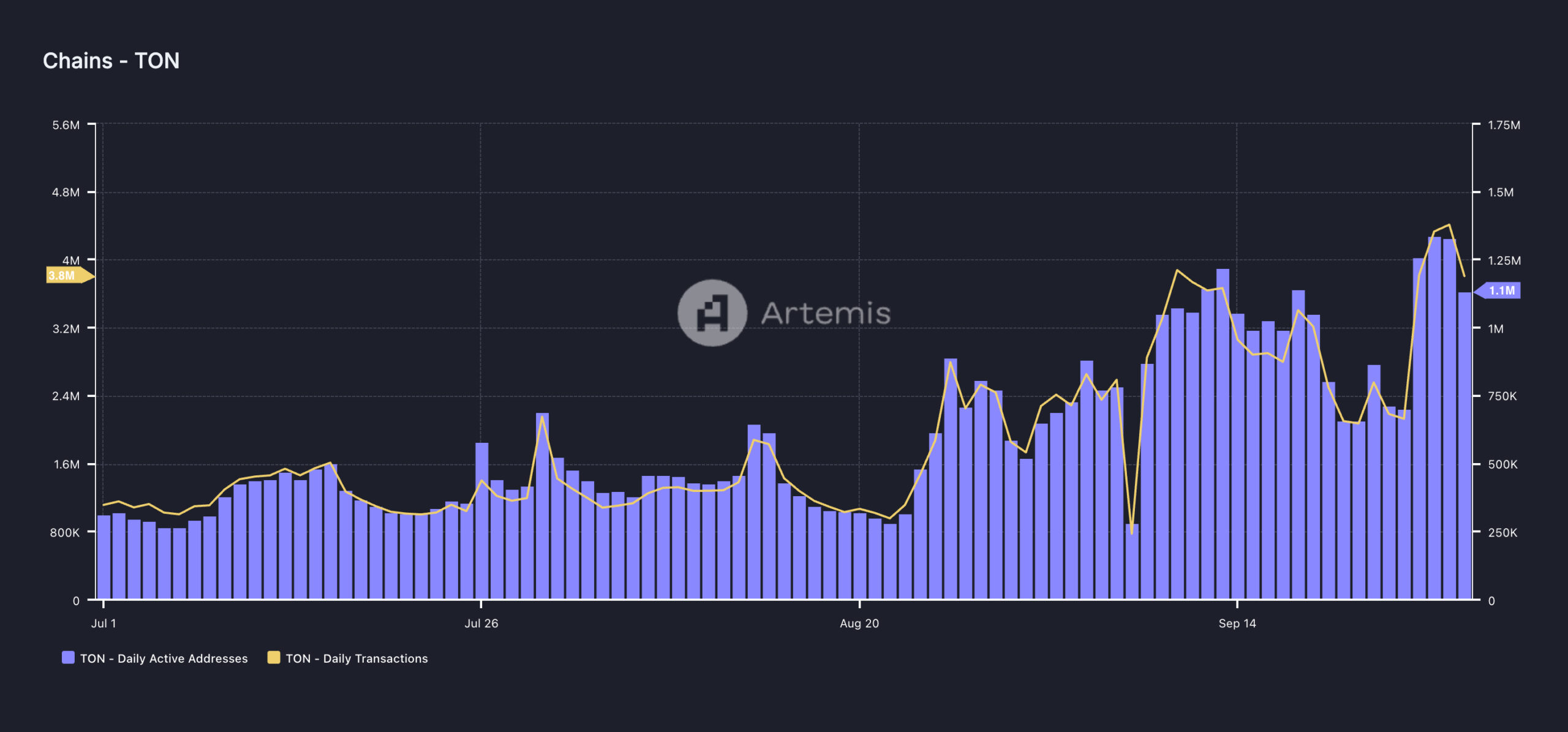 Attività della rete Toncoin