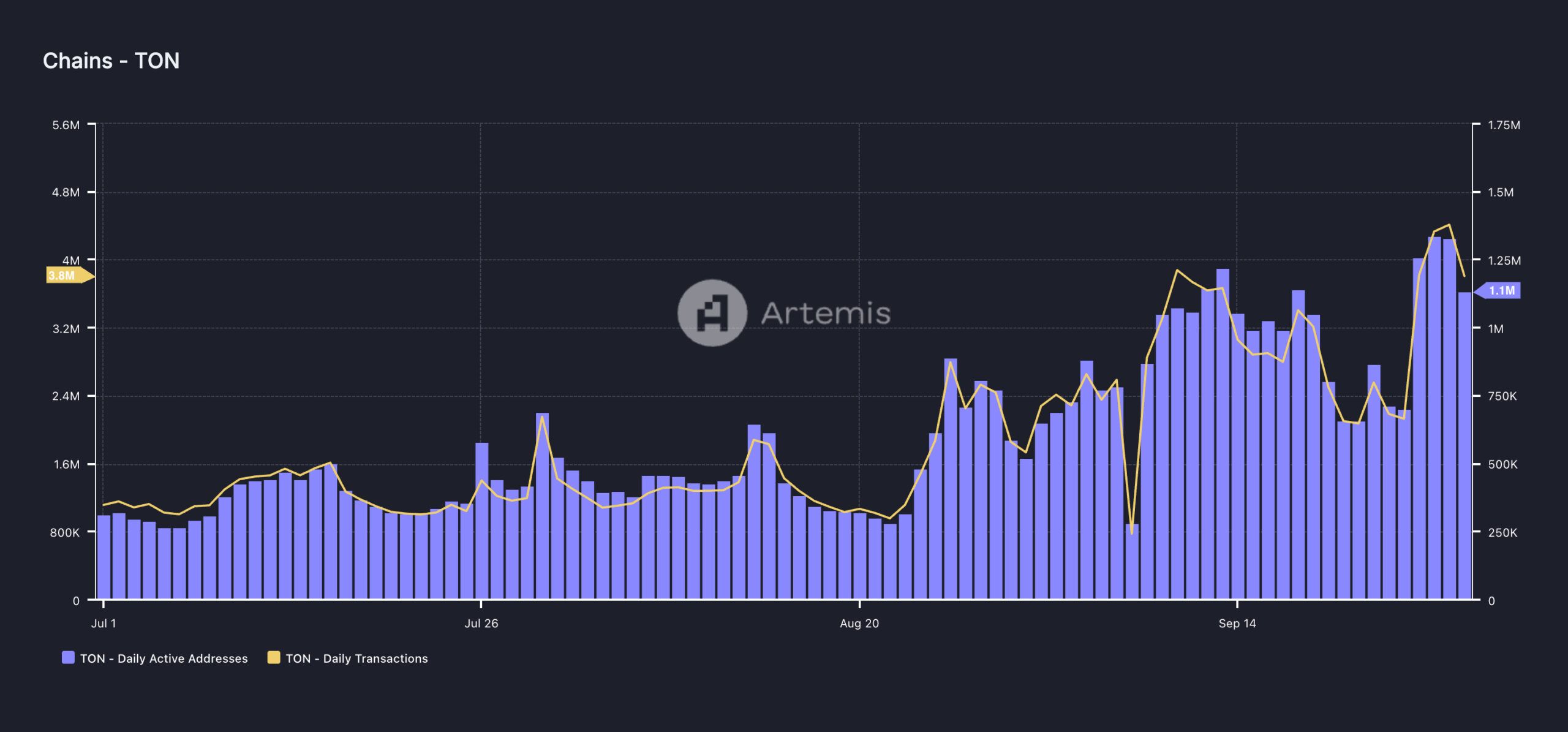 Attività della rete Toncoin