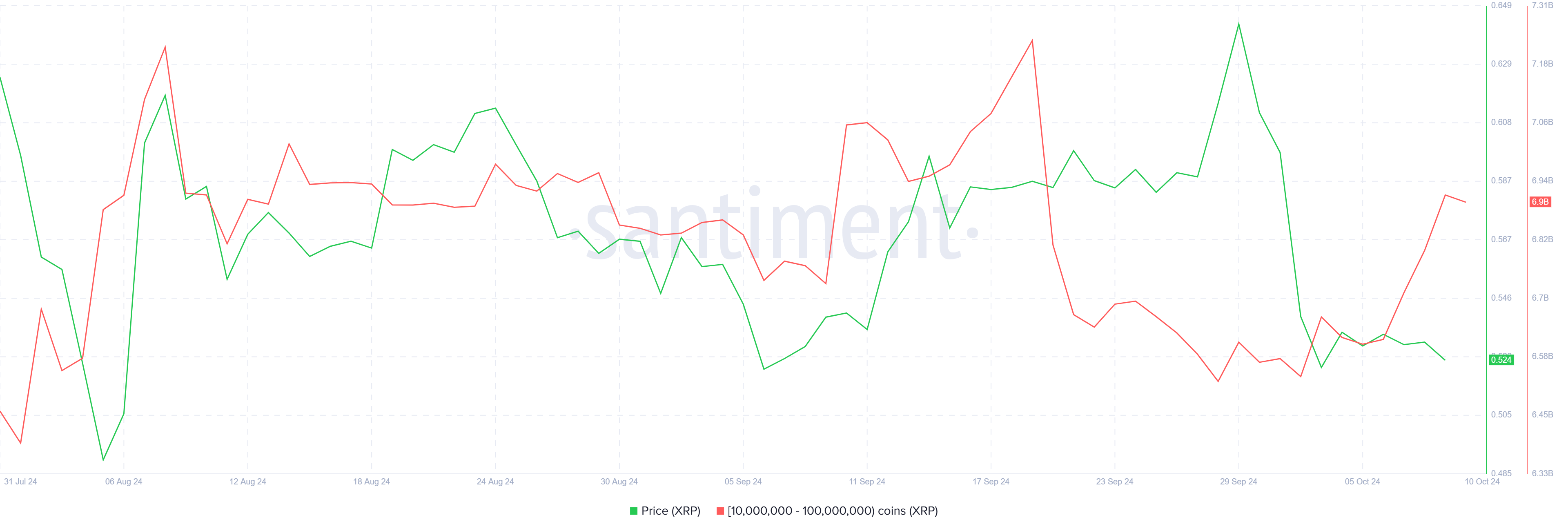 Accumulazione di XRP whales