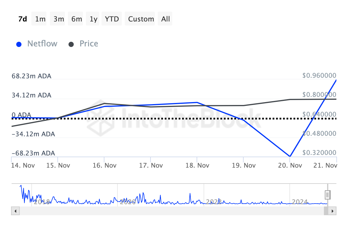 Accumulo delle whales di Cardano
