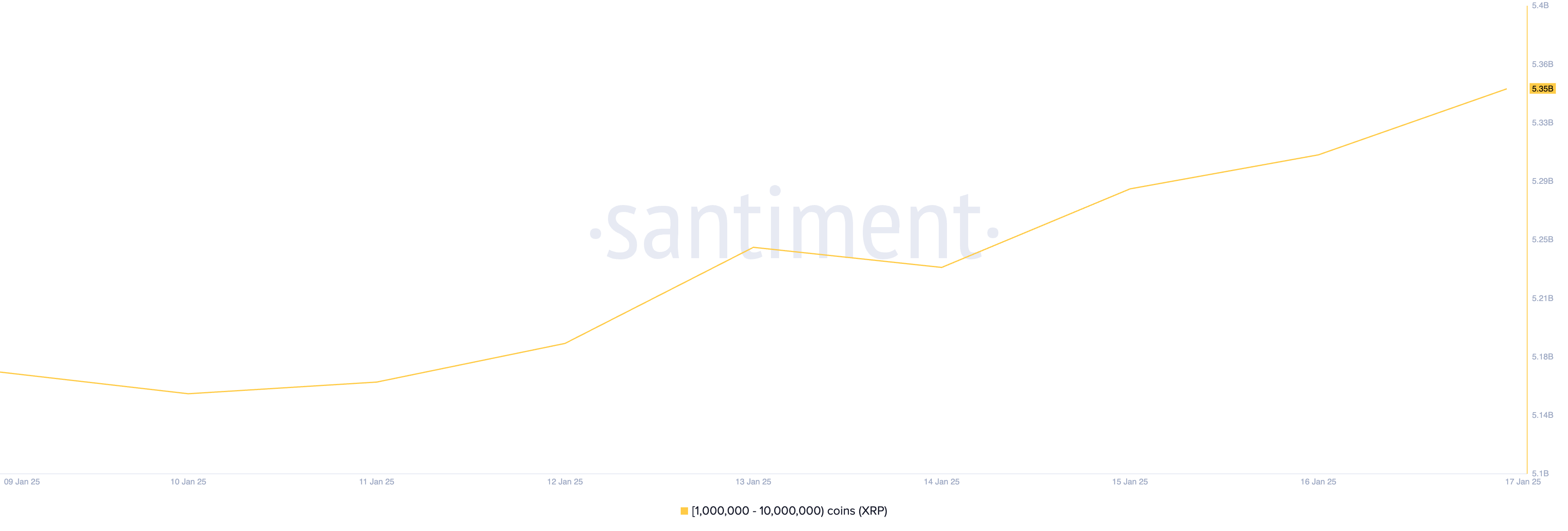 Distribuzione dell'offerta di XRP.