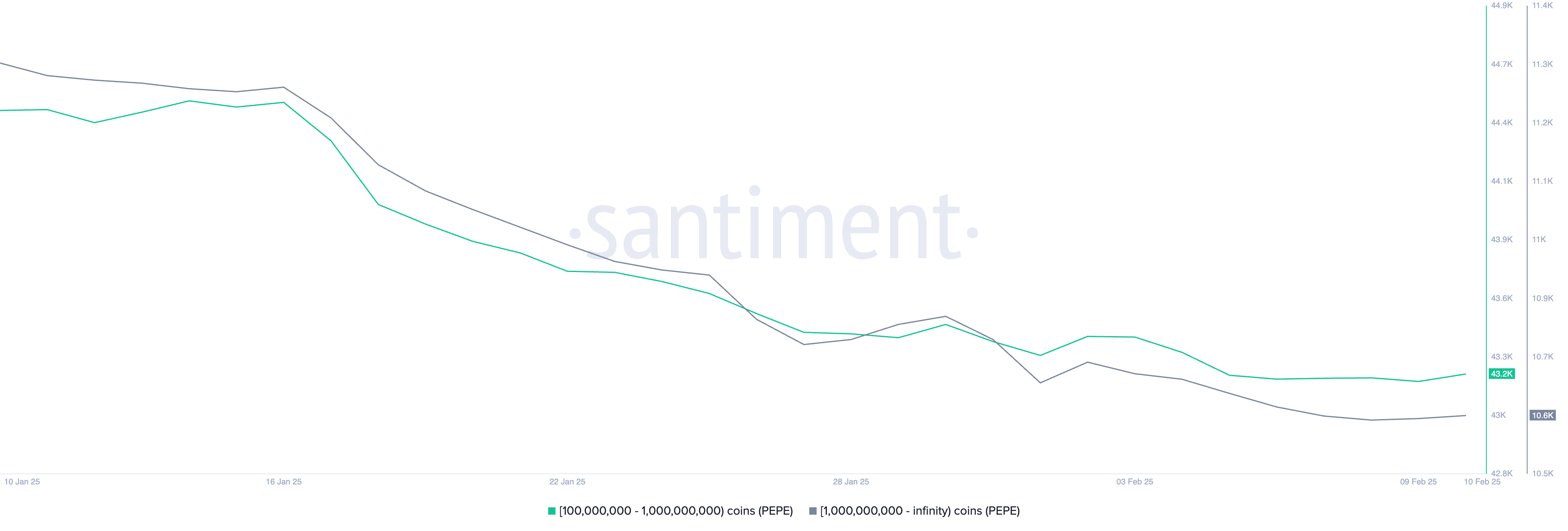 Numero di Indirizzi che Detengono almeno 100.000.000 PEPE.