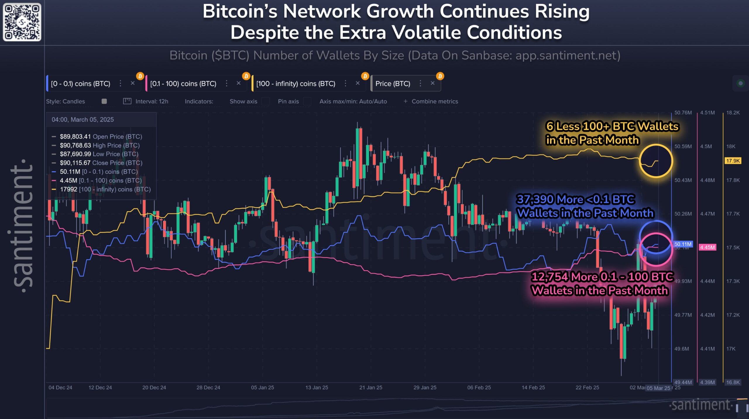 Detentori STH di Bitcoin