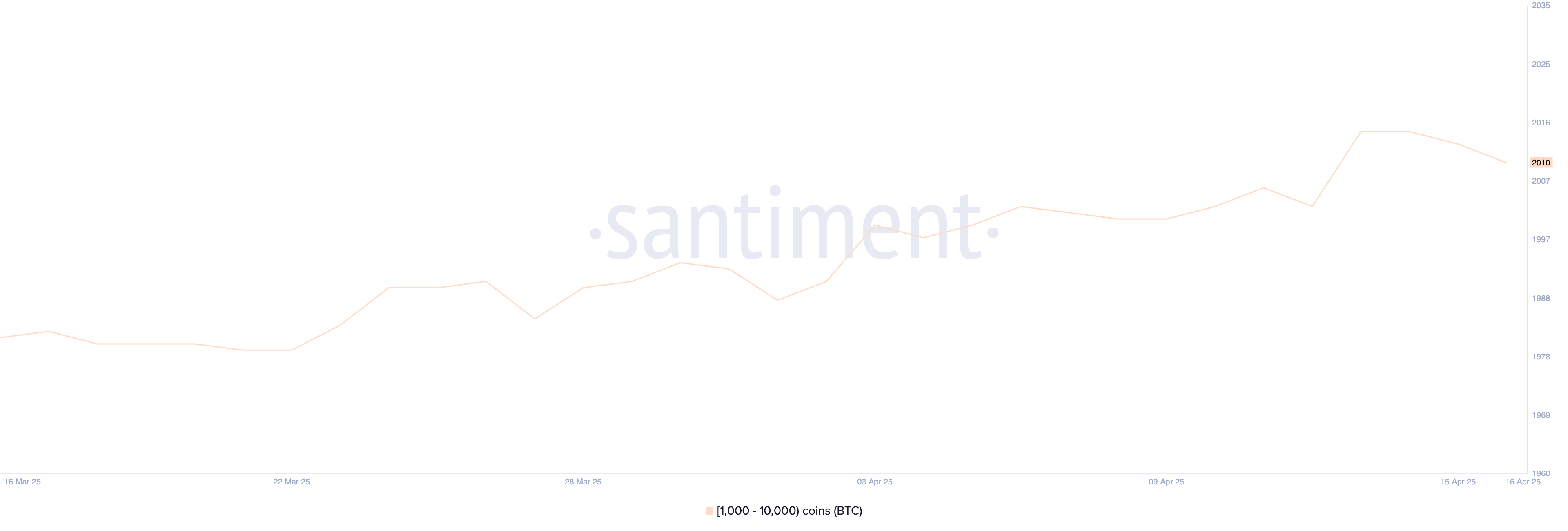 Balene di Bitcoin.