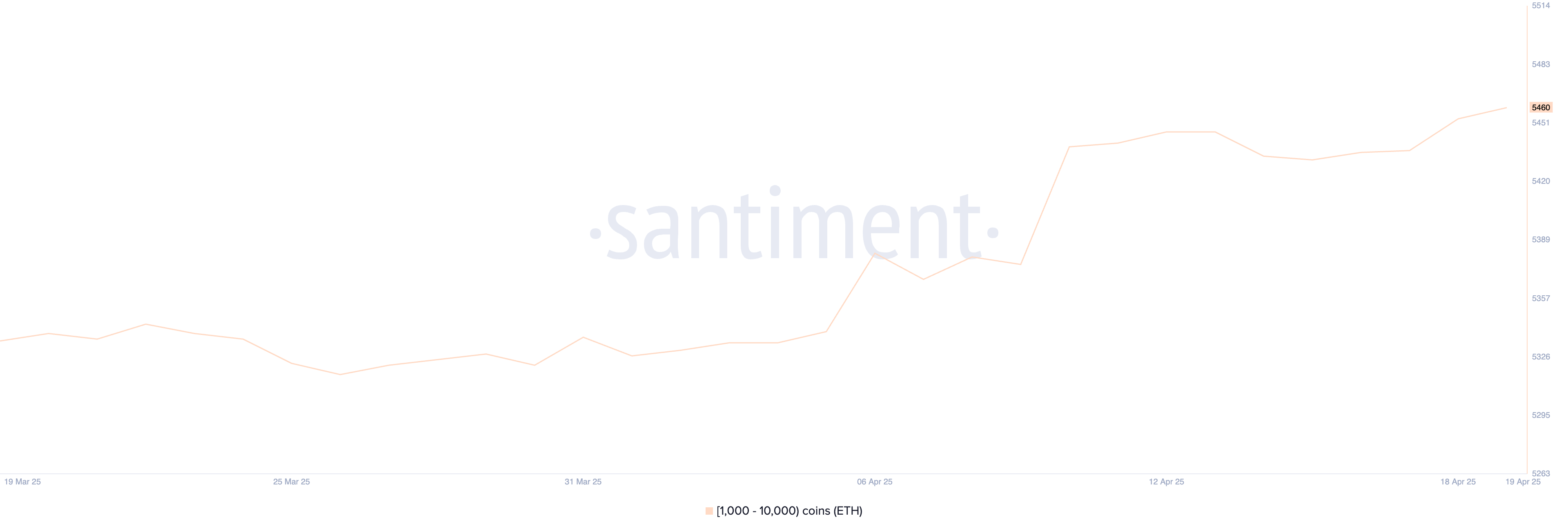 Numero di Indirizzi che Detengono tra 1.000 e 10.000 ETH.