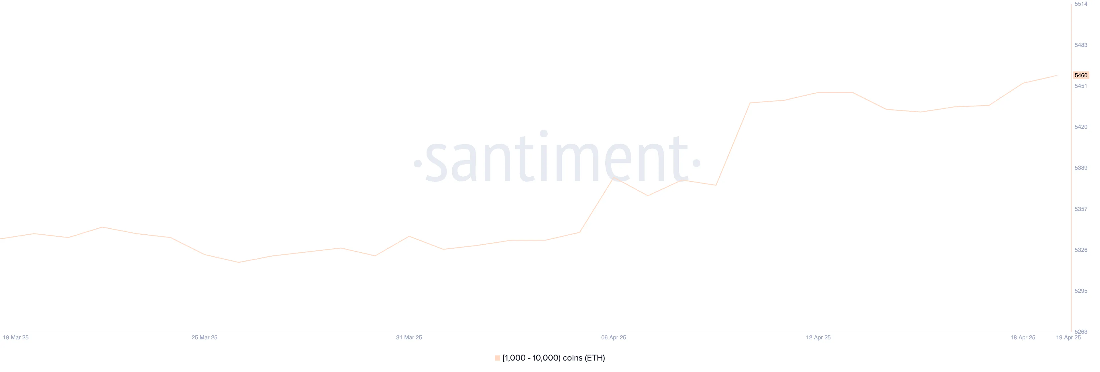Numero di Indirizzi che Detengono tra 1.000 e 10.000 ETH.