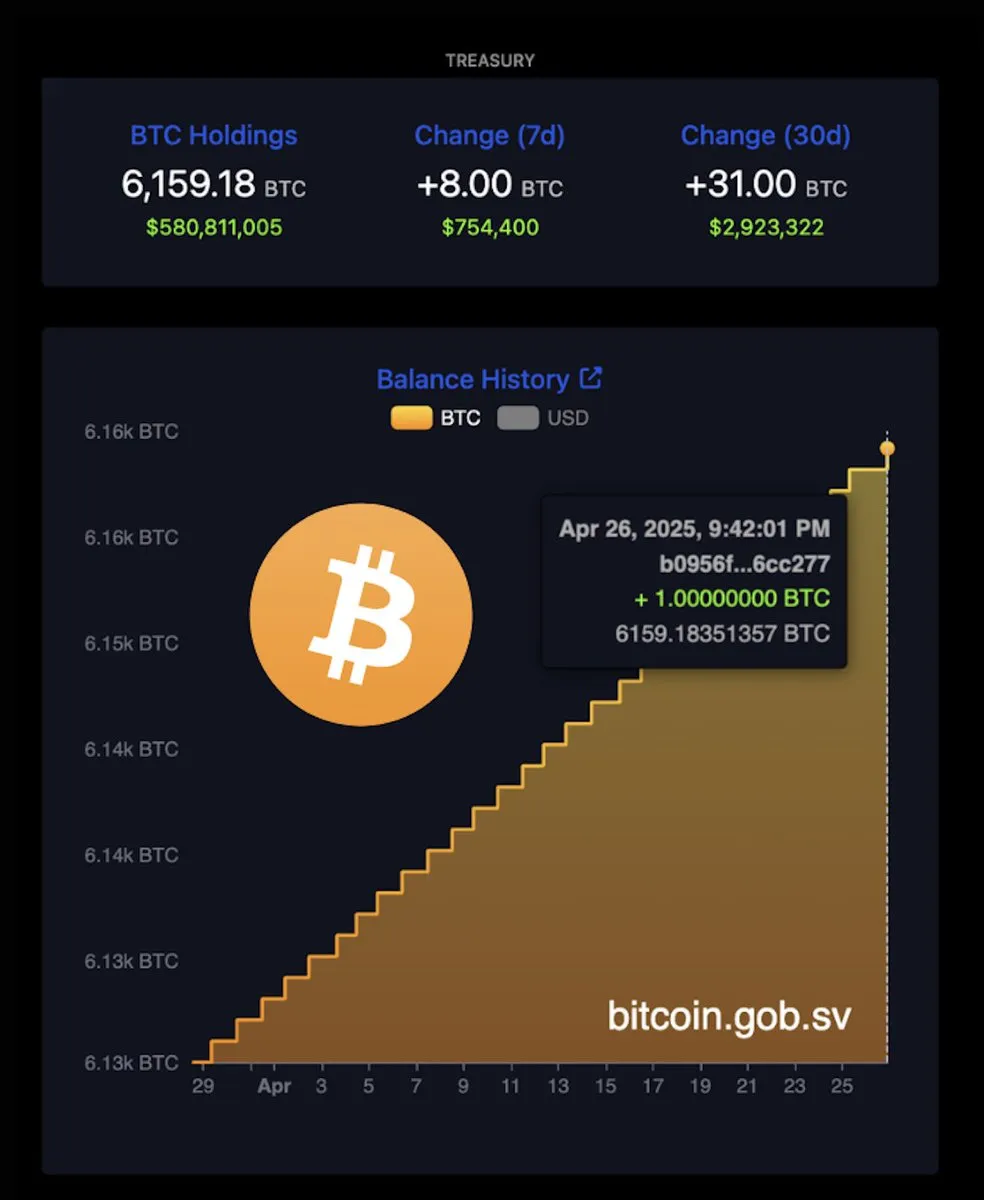 Le Riserve di Bitcoin di El Salvador.