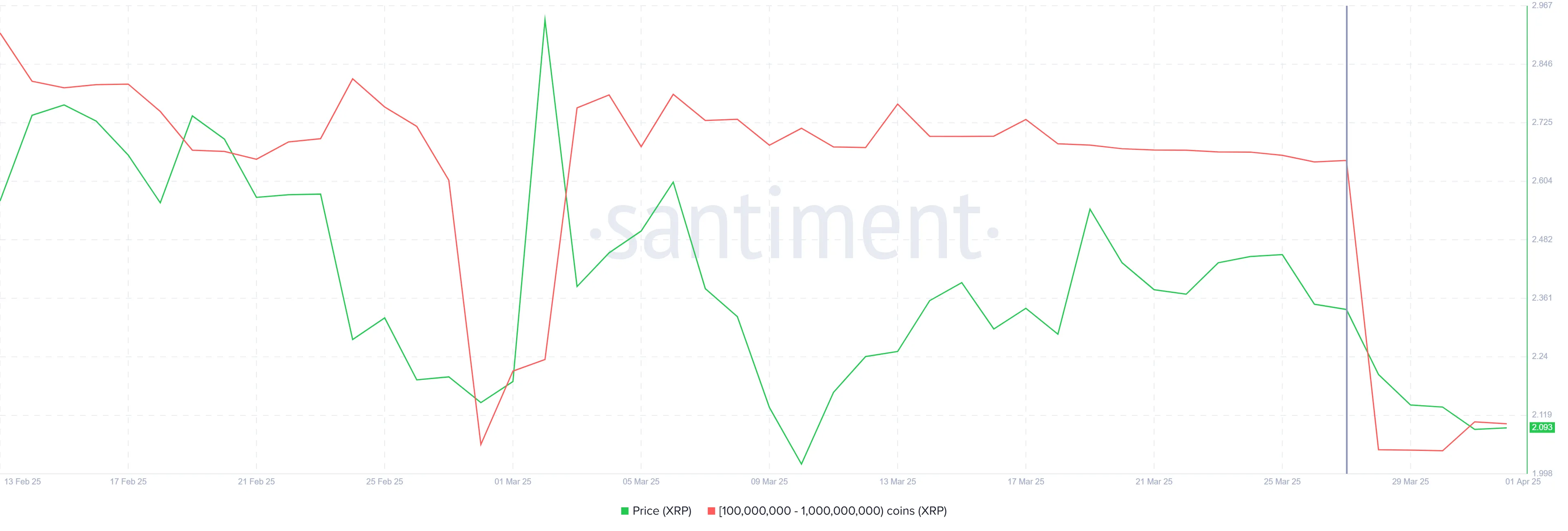XRP Whale Holdings