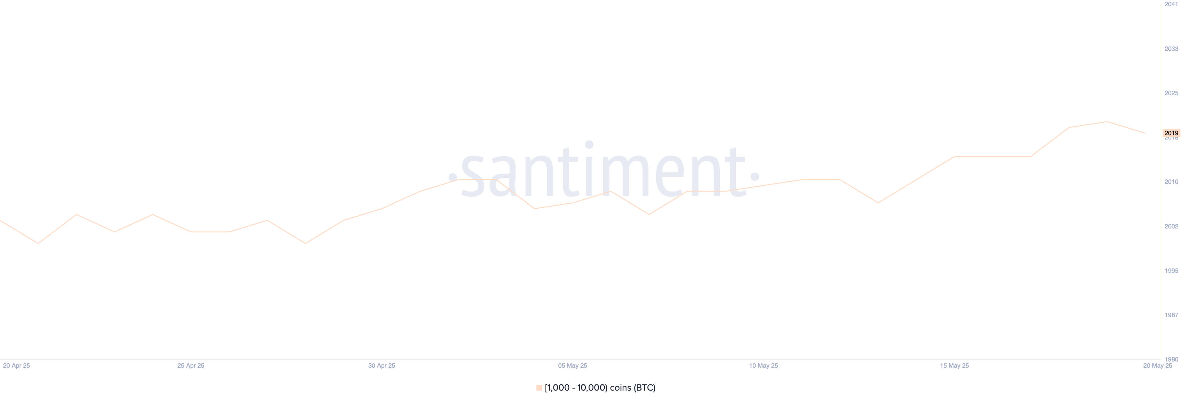 Balene di Bitcoin.