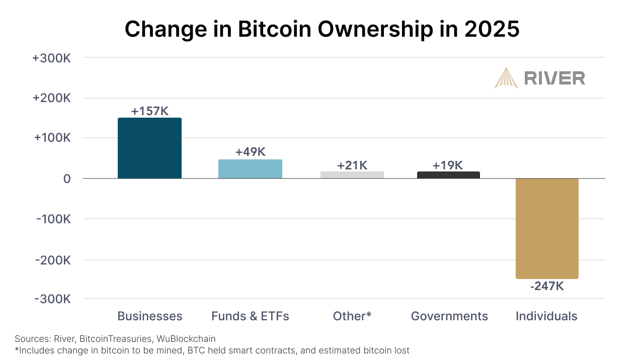 adozione istituzionale di bitcoin