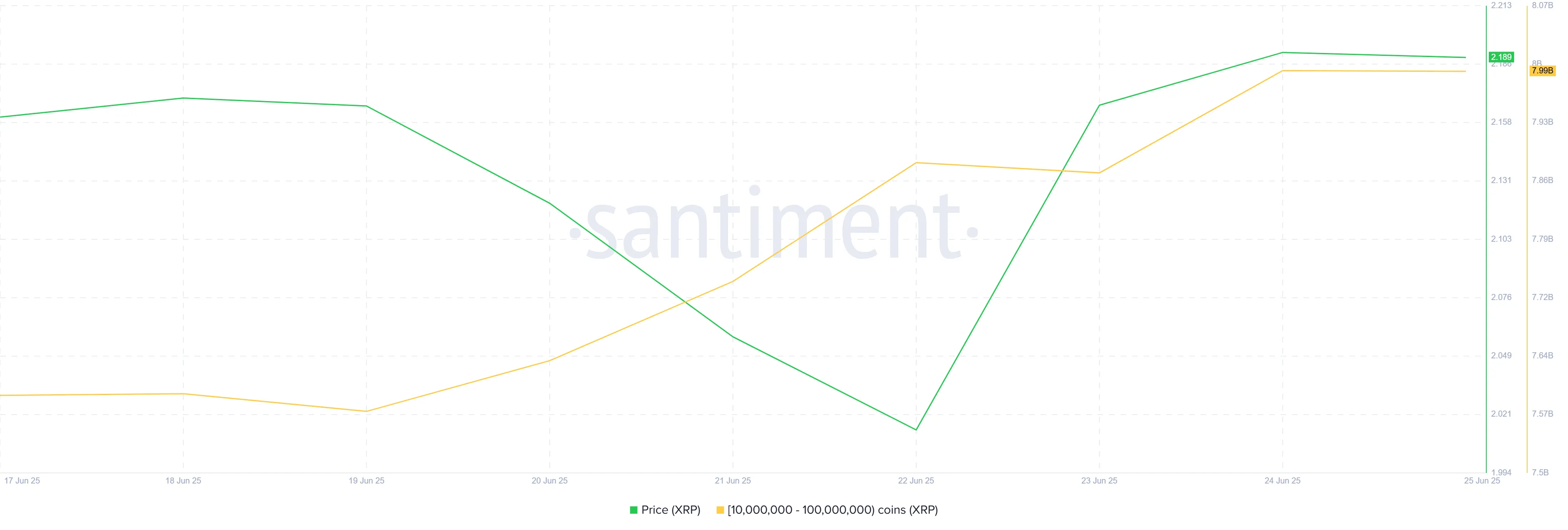 XRP Whale Holding