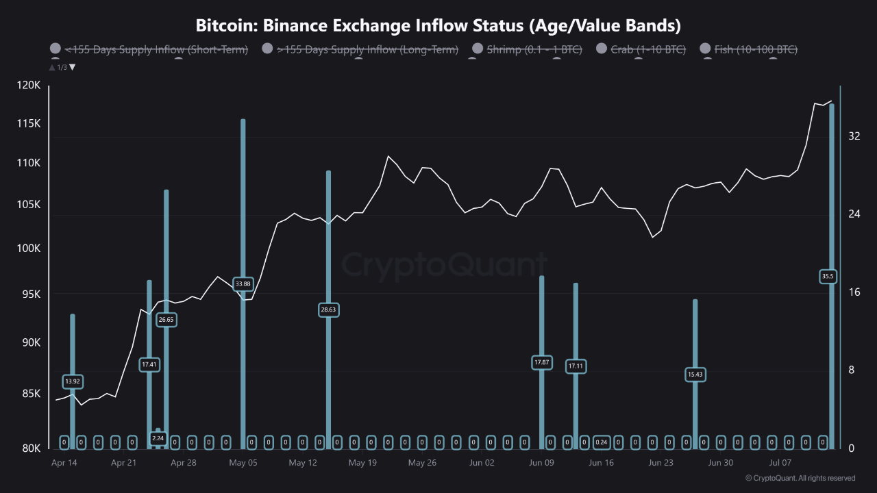 Stato degli afflussi su Binance. Fonte: CryptoQuant.