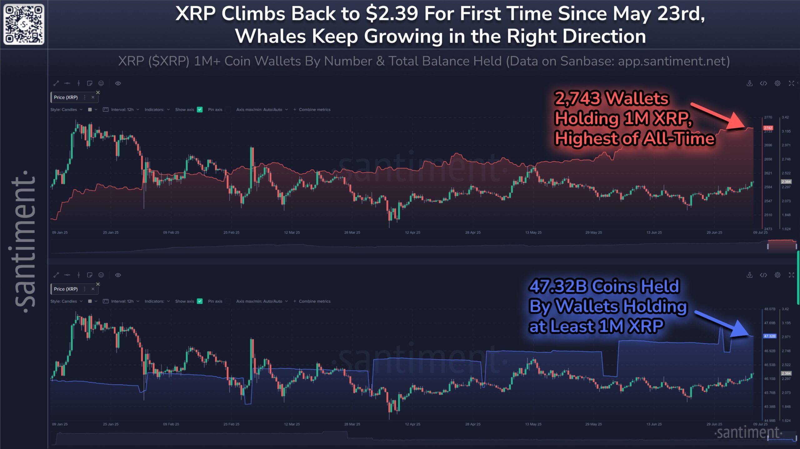Indirizzi delle balene XRP