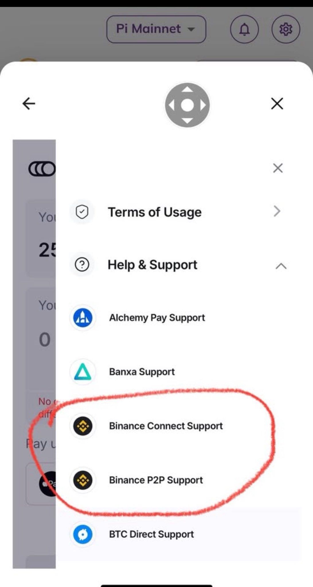 Opzioni di supporto Binance nel Pi Wallet.