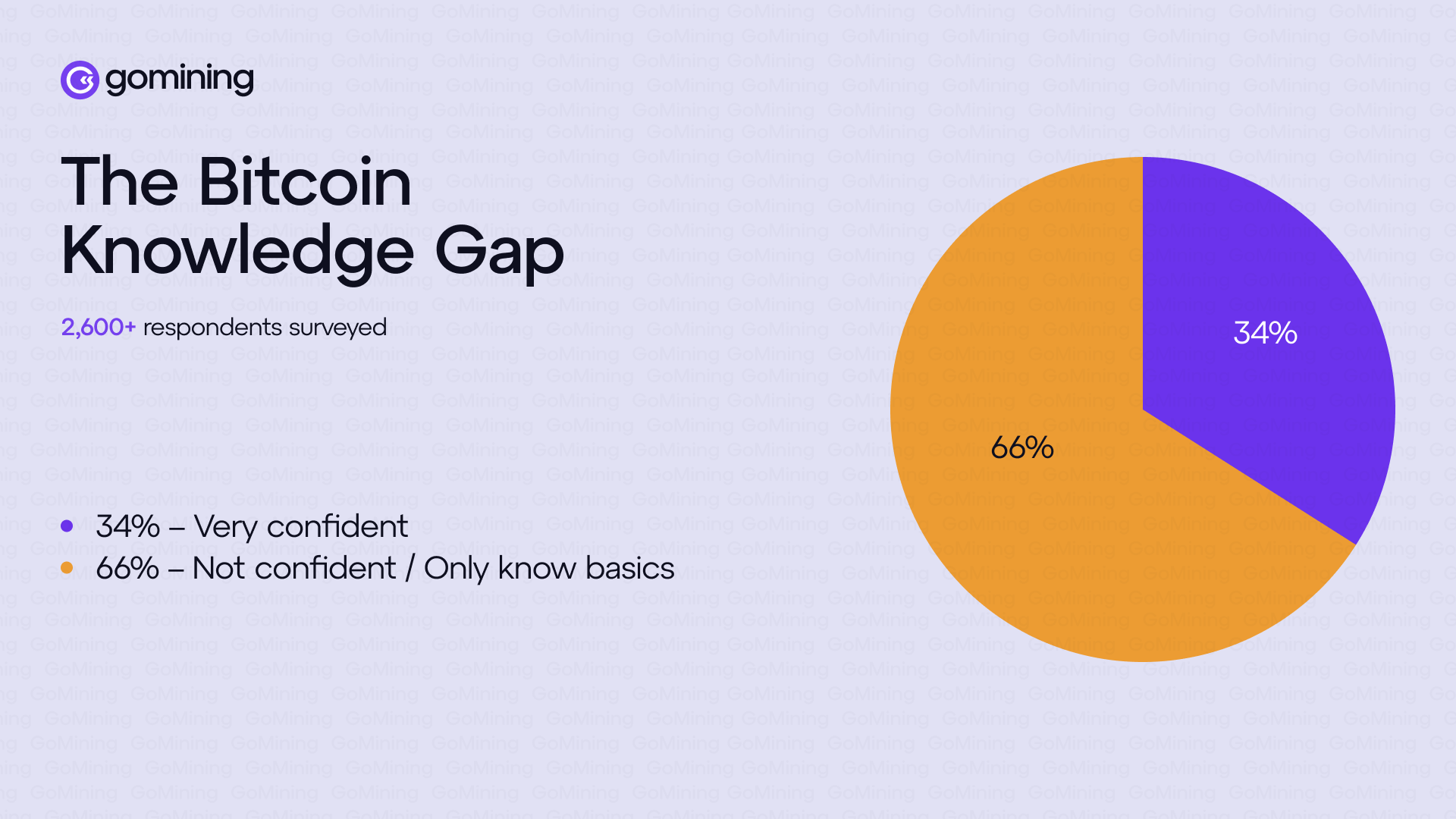 Divario di conoscenza su Bitcoin: Fonte: sondaggio GoMining