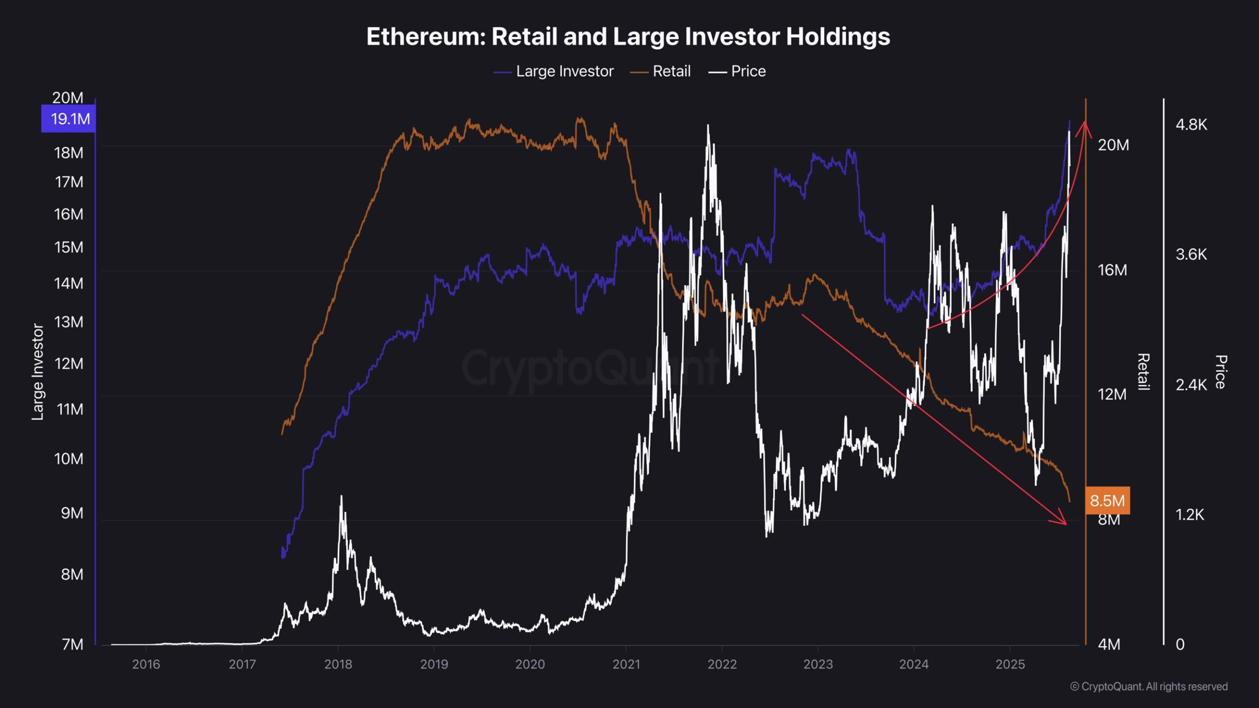 Detenzioni di Ethereum da parte di retail e grandi investitori. Fonte: CryptoQuant.